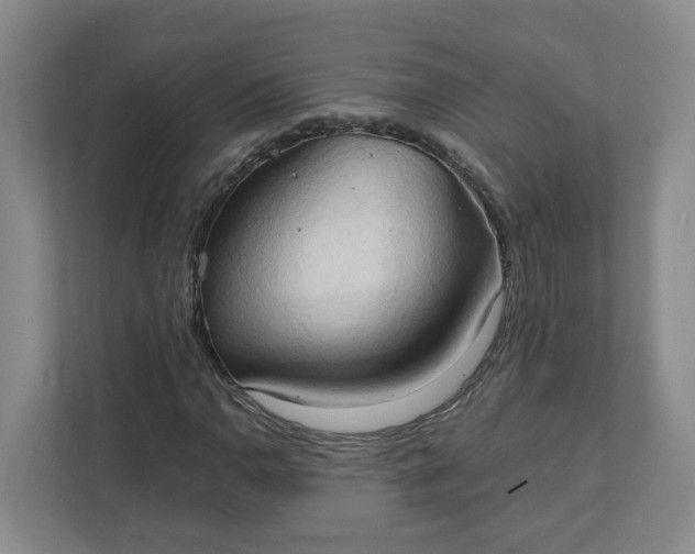 X0000111951110200908101217