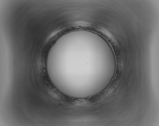 X0000111951112200908101217