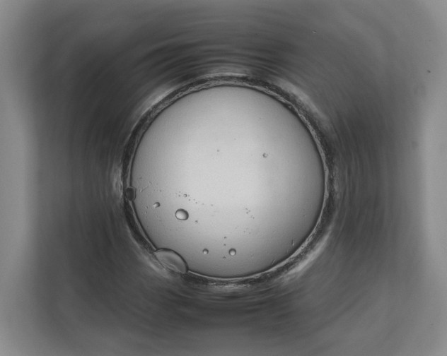 X0000111951113200908101217