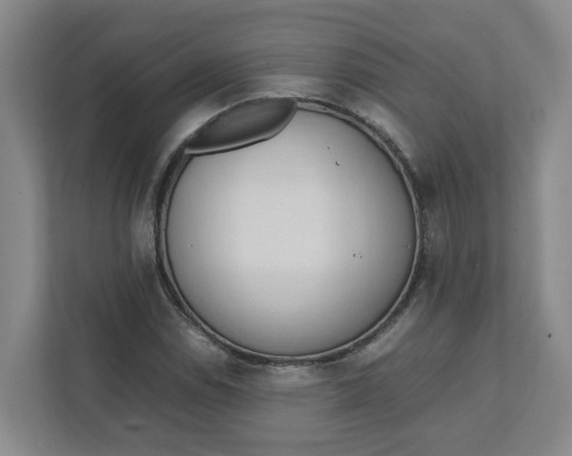 X0000111951114200908101217