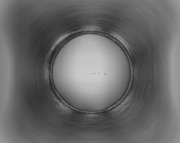 X0000111951115200908101217