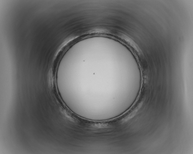 X0000111951117200908101217
