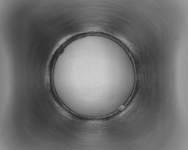 X0000111951118200908101217