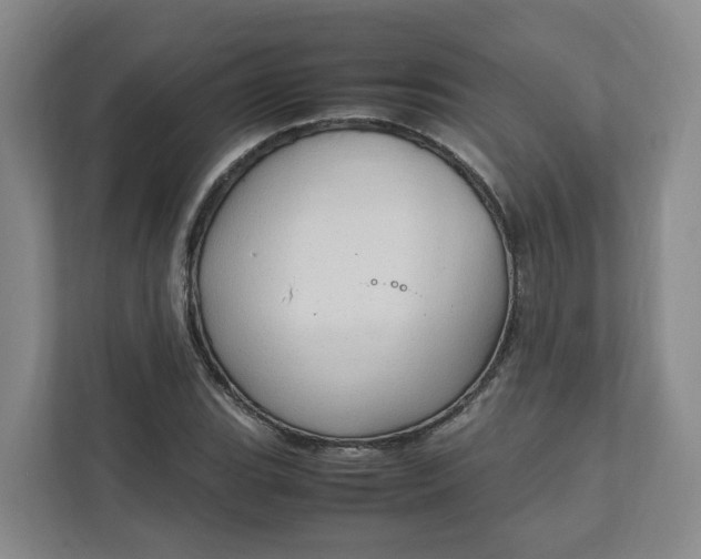 X0000111951119200908101217