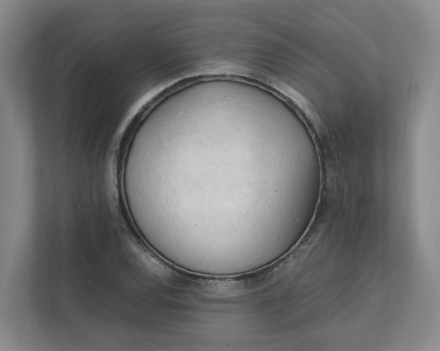 X0000111951120200908101217