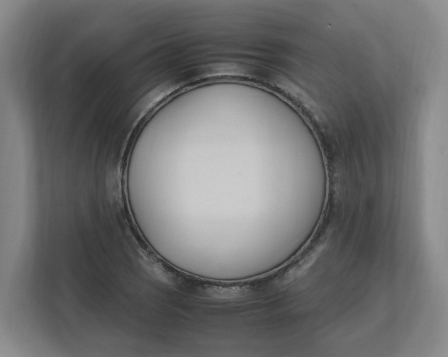 X0000111951121200908101217