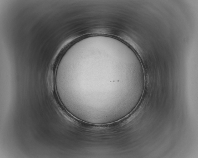 X0000111951123200908101217