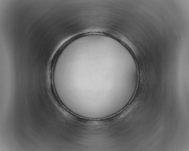 X0000111951124200908101217