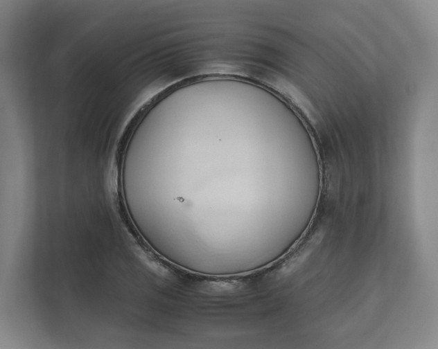 X0000111951125200908101217