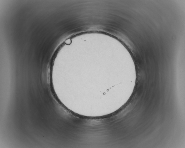 X0000111951126200908101217