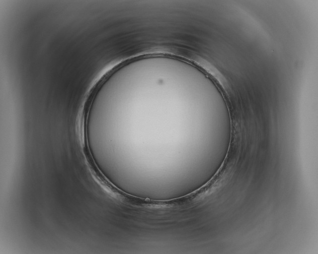 X0000111951127200908101217