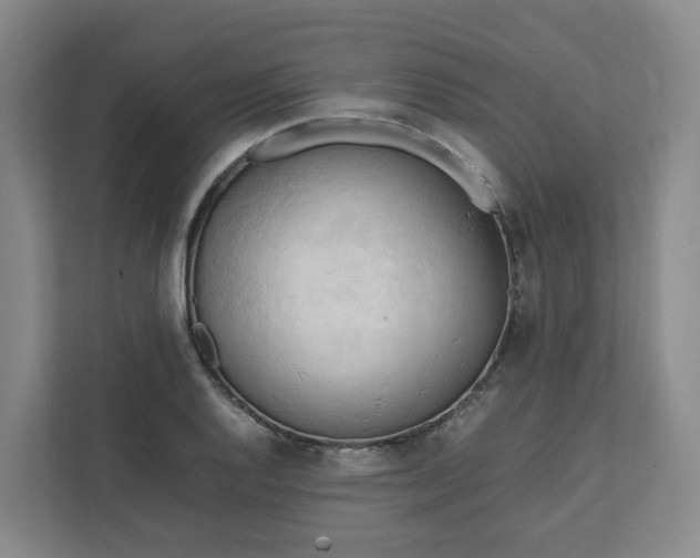 X0000111951128200908101217