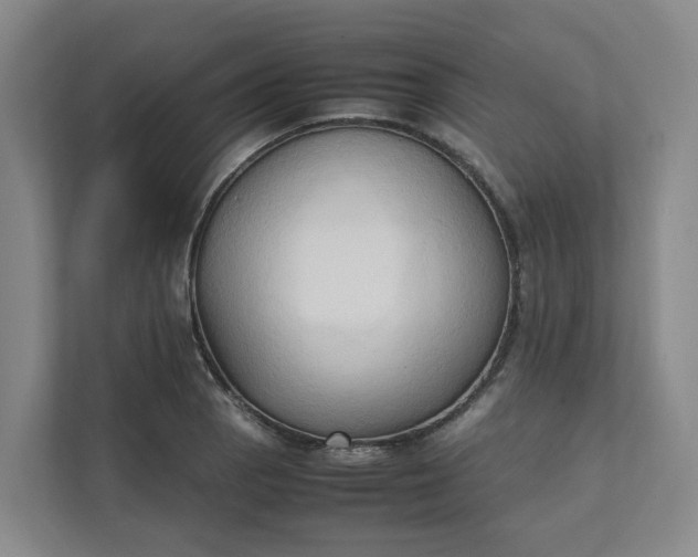 X0000111951129200908101217