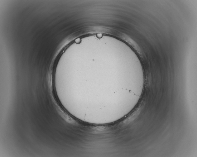 X0000111951130200908101217