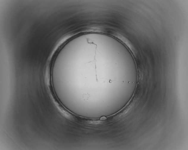 X0000111951131200908101217