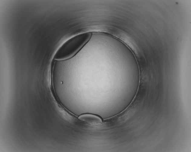 X0000111951132200908101217
