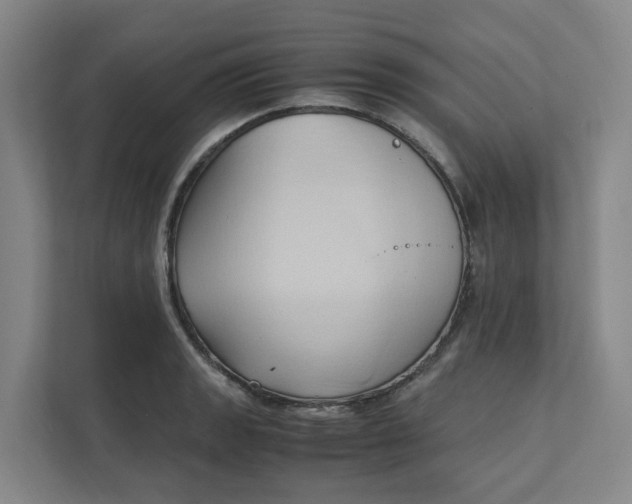 X0000111951133200908101217