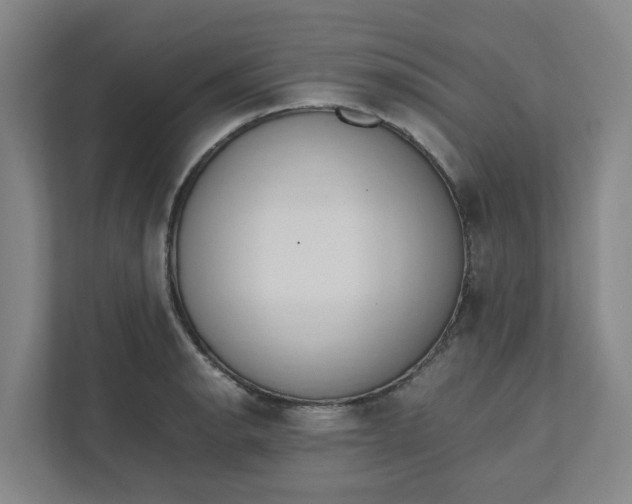 X0000111951134200908101217