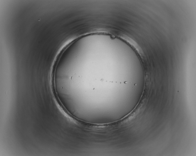 X0000111951135200908101217