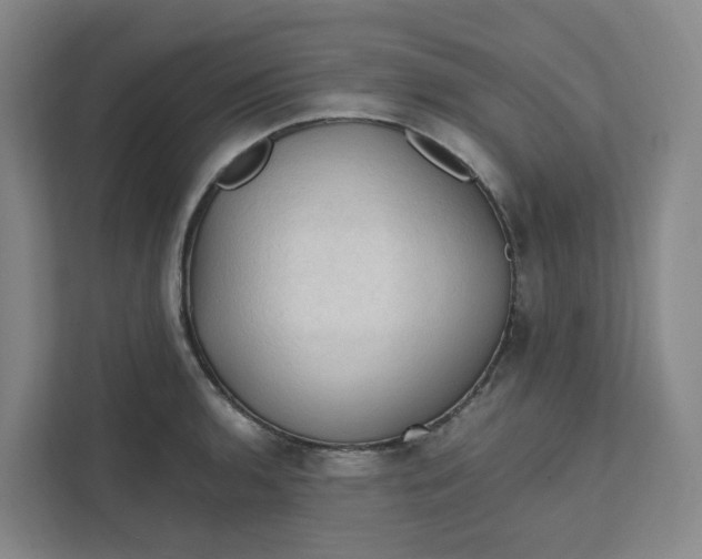 X0000111951136200908101217