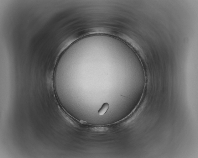 X0000111951137200908101217