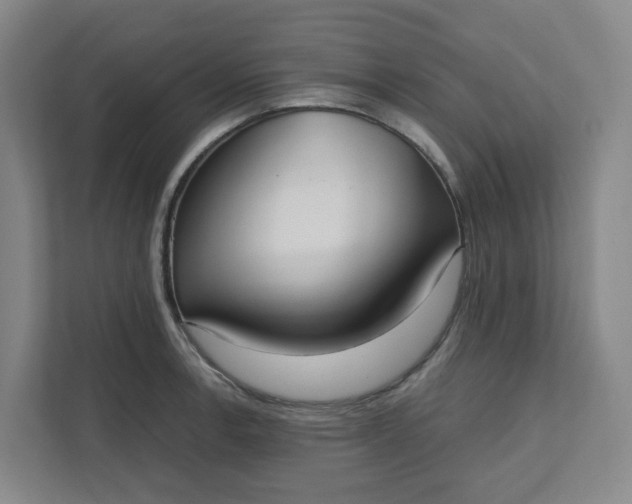X0000111951138200908101217