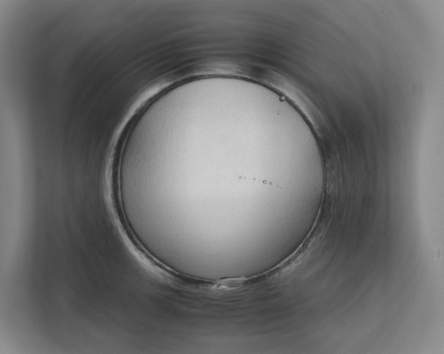 X0000111951139200908101217
