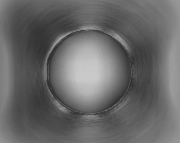 X0000111951140200908101217