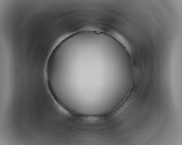 X0000111951141200908101217