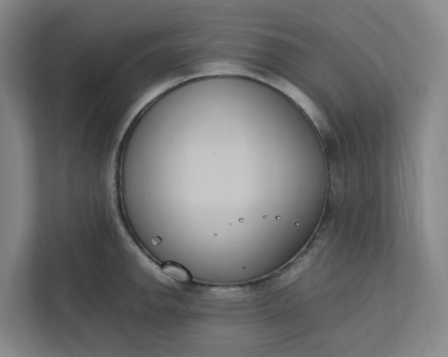 X0000111951142200908101217
