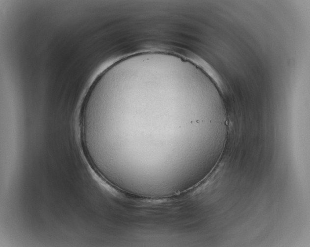 X0000111951143200908101217