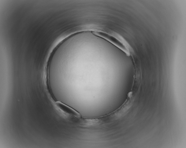 X0000111951144200908101217