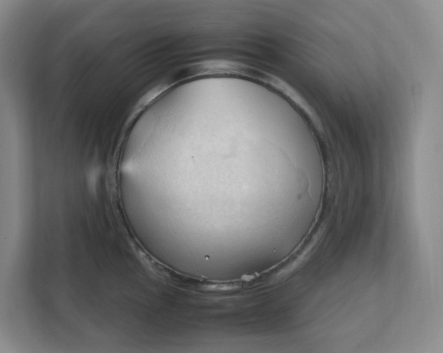 X0000111951145200908101217