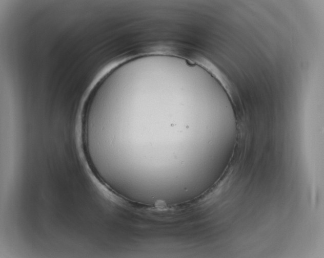 X0000111951147200908101217