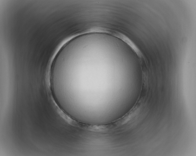 X0000111951148200908101217
