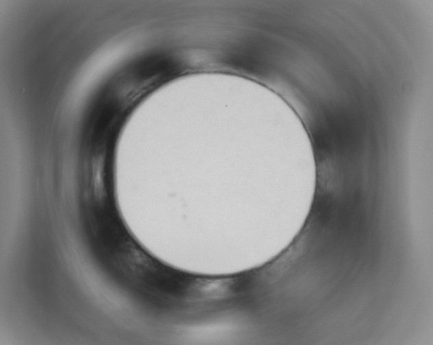 X0000111951150200908101217