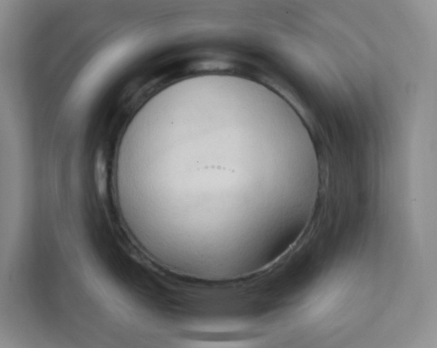 X0000111951151200908101217
