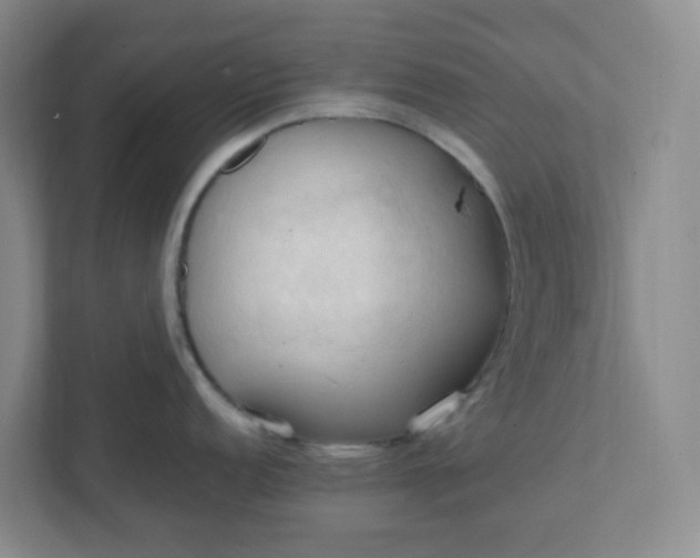 X0000111951152200908101217