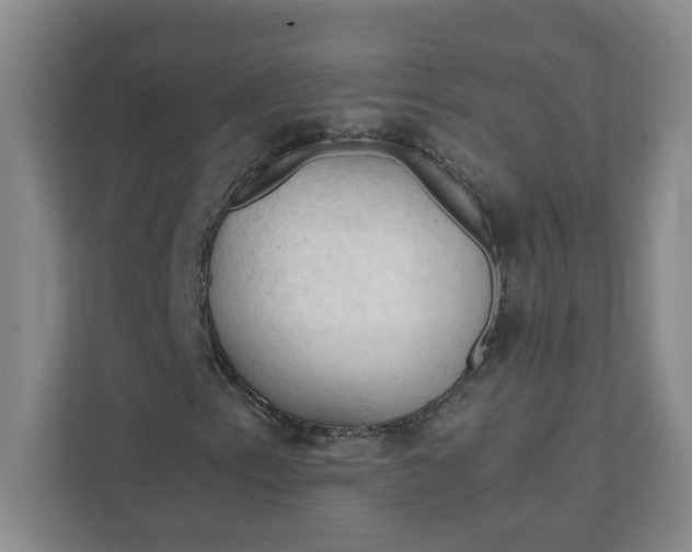 X0000111951153200908101216