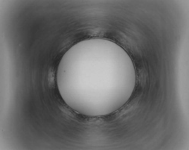 X0000111951154200908101216