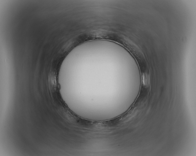 X0000111951155200908101216