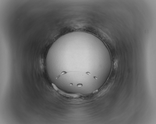 X0000111951156200908101216