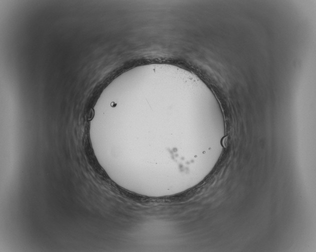 X0000111951157200908101216