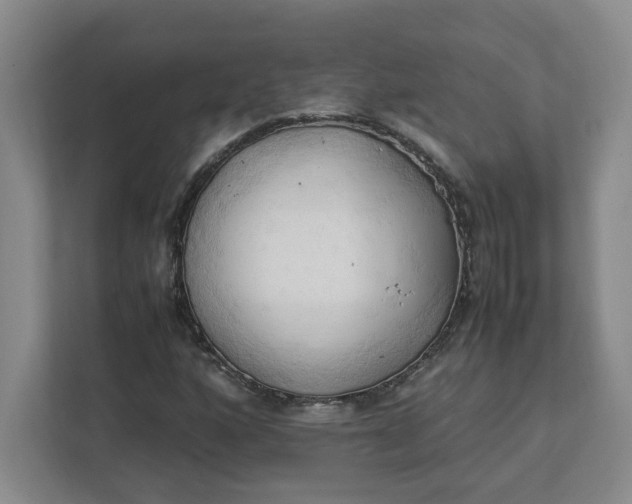 X0000111951160200908101216