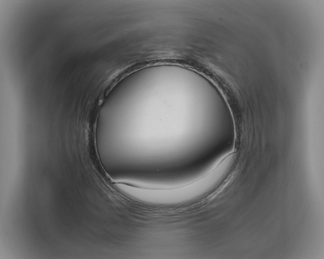X0000111951161200908101216