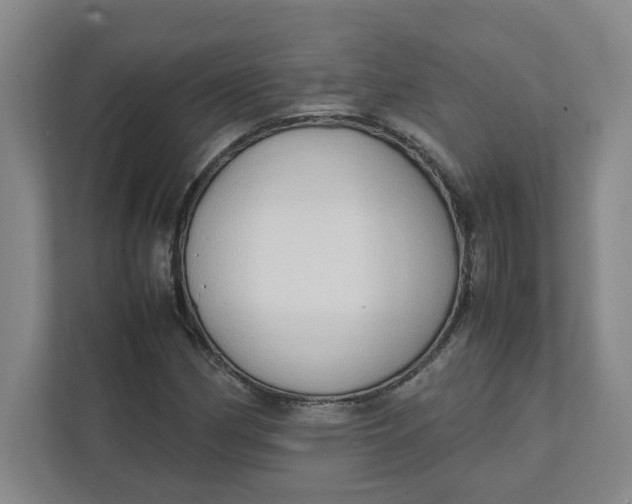 X0000111951162200908101216