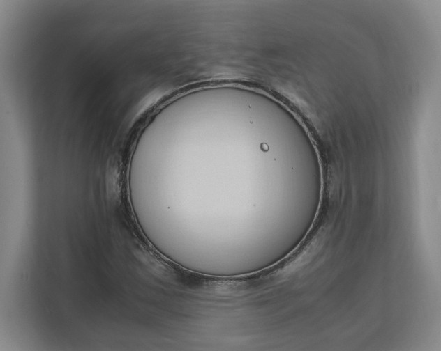 X0000111951163200908101216