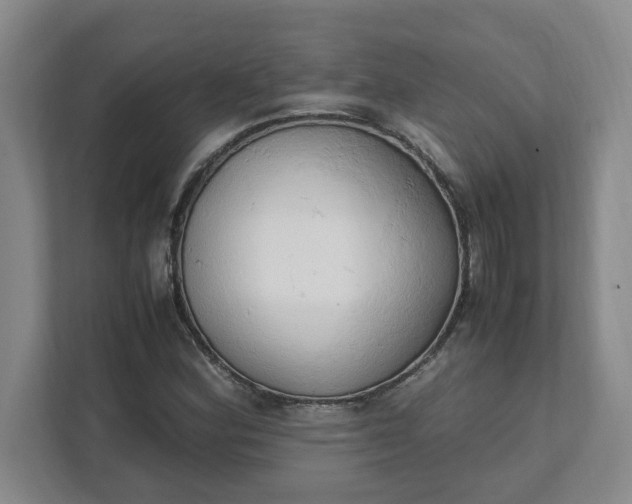 X0000111951164200908101216
