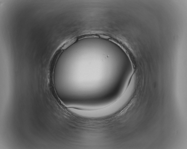 X0000111951165200908101216