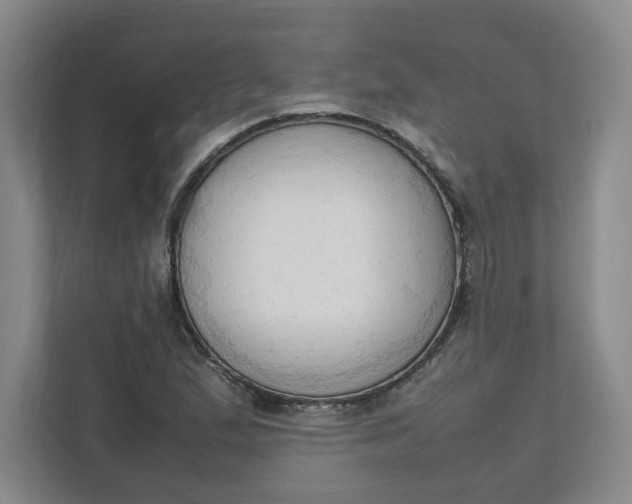 X0000111951167200908101216